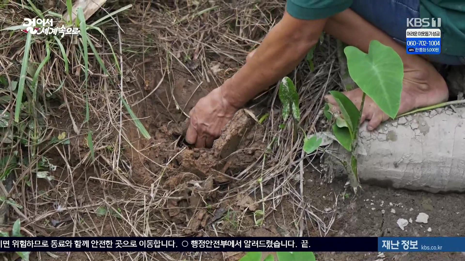 걸어서 세계속으로.E826.240120p.H264-F1RST.mp4_20240716_202113.982.jpg