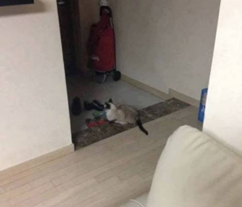  현관 앞이 항상 따뜻했던 이유ㅜㅜㅜㅜ