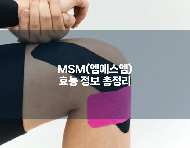 MSM(엠에스엠)효능 정보 총정리