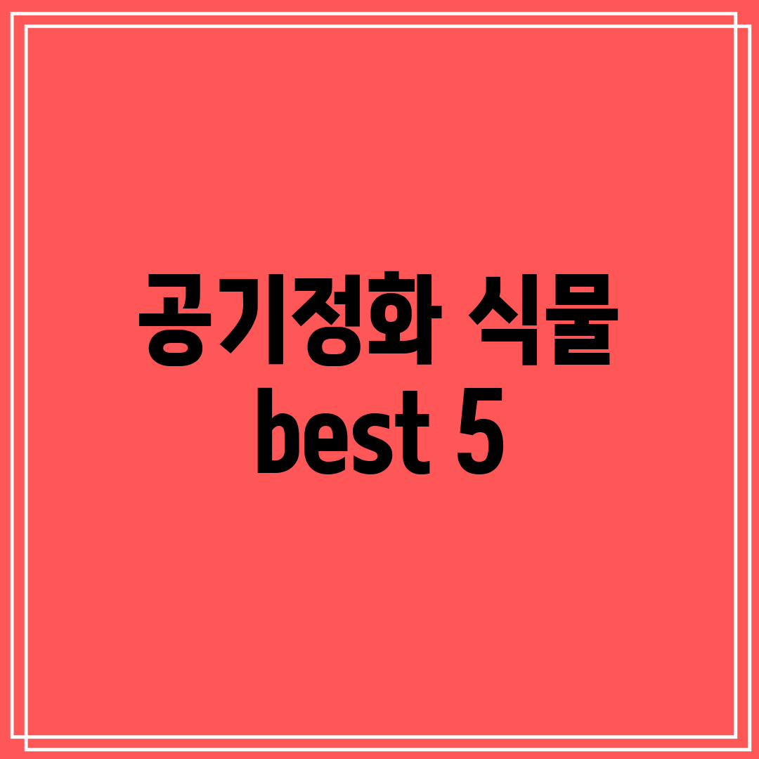 공기정화 식물 best 5