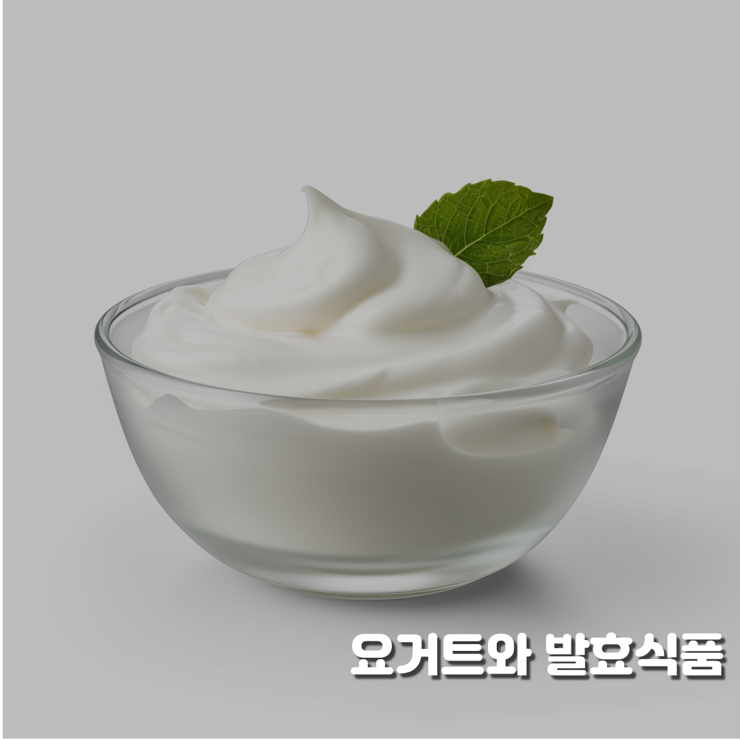 요거트와 발효식품