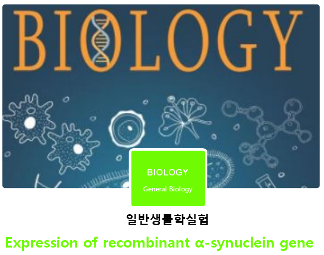 일반생물학실험 | Expression of recombinant α-synuclein gene 일반생물학실험 | Expression of recombinant α-synuclein gene