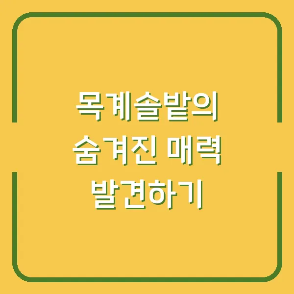 목계솔밭의 숨겨진 매력 발견하기