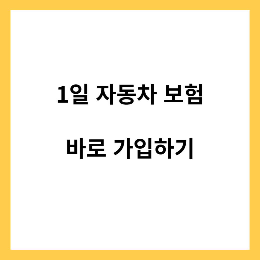 1일 자동차 보험