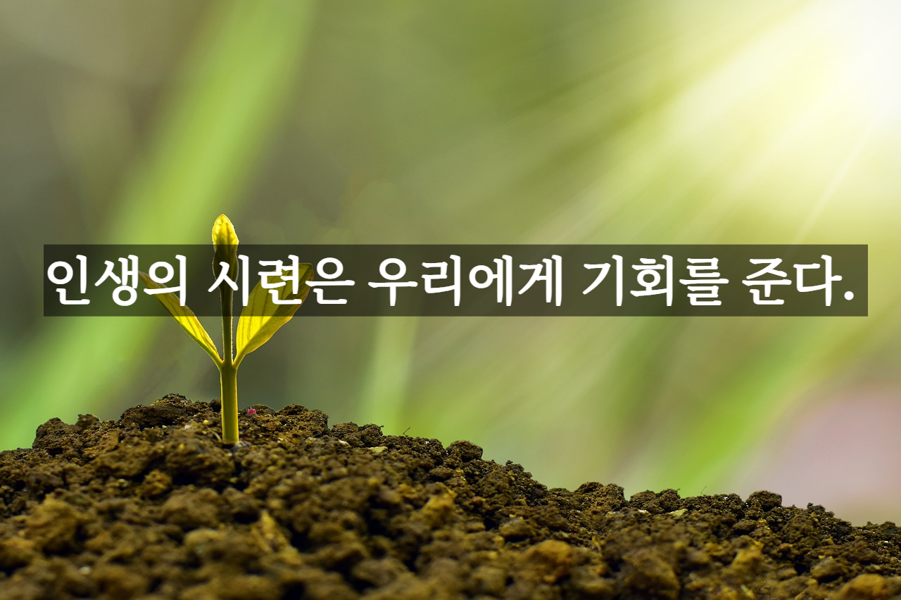 기분이 우울할 때 읽기 좋은 글귀 5가지