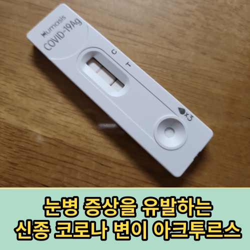 코로나 눈병 증상 등장, 신종 변이 아크투르스 바이러스 눈병 증상과 함께 코로나19 감염자 폭증