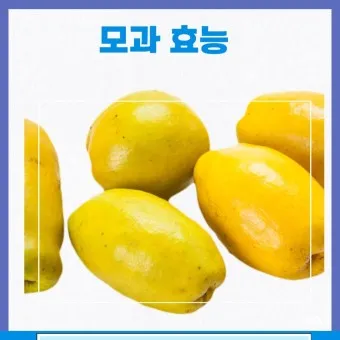 모과차의 효능 감기예방 소화개선_12