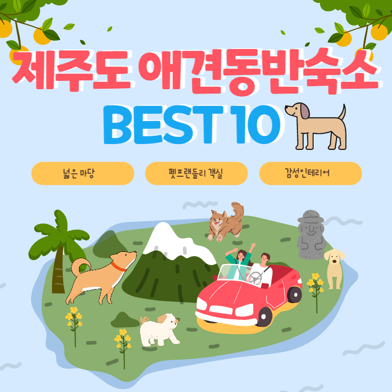 제주도 애견동반숙소 추천 best 10