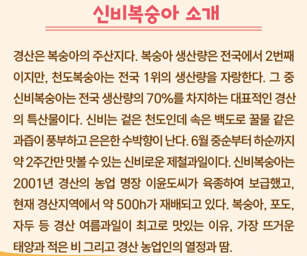 경산 카페 축제
