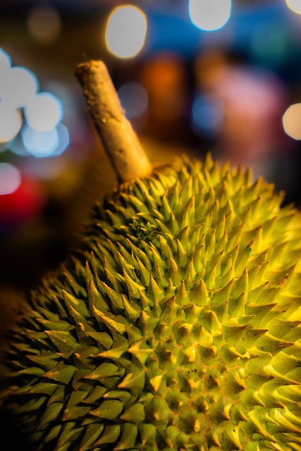 Durian