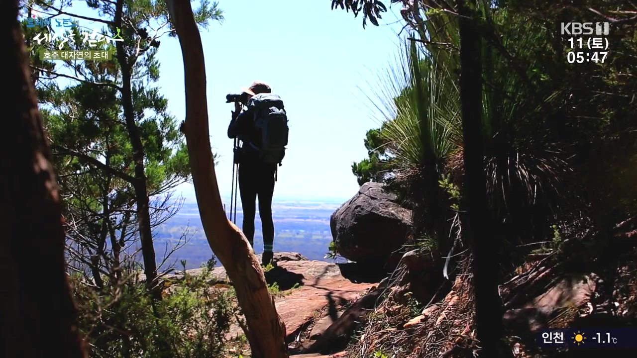 트레킹노트 세상을 걷다.E296.231112p-NEXT.mp4_20231111_181631.329.jpg