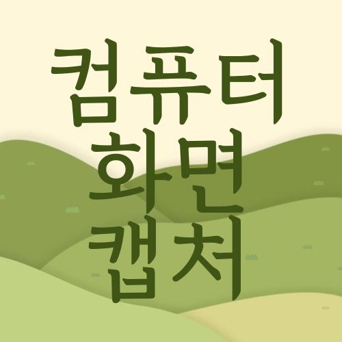 컴퓨터 화면 캡처