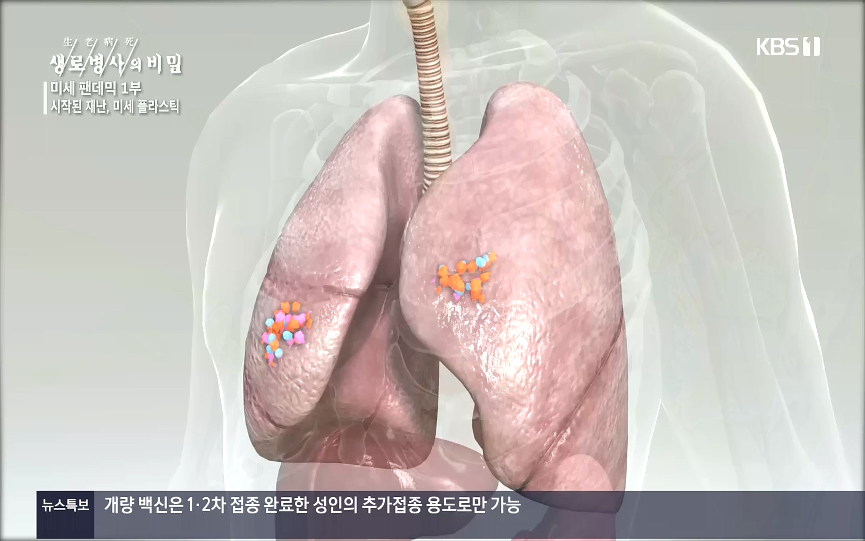 생로병사의 비밀.E839.221012p.H264-F1RST.mp4_20221013_205057.155.jpg