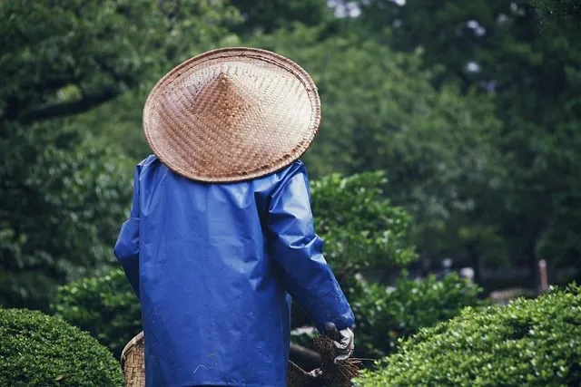 나만의 향수 만들기 DIY 향수 블렌딩 가이드_1