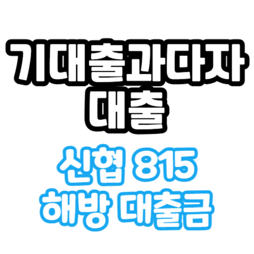 기대출과다자 대출 신협 815 해방 대출금