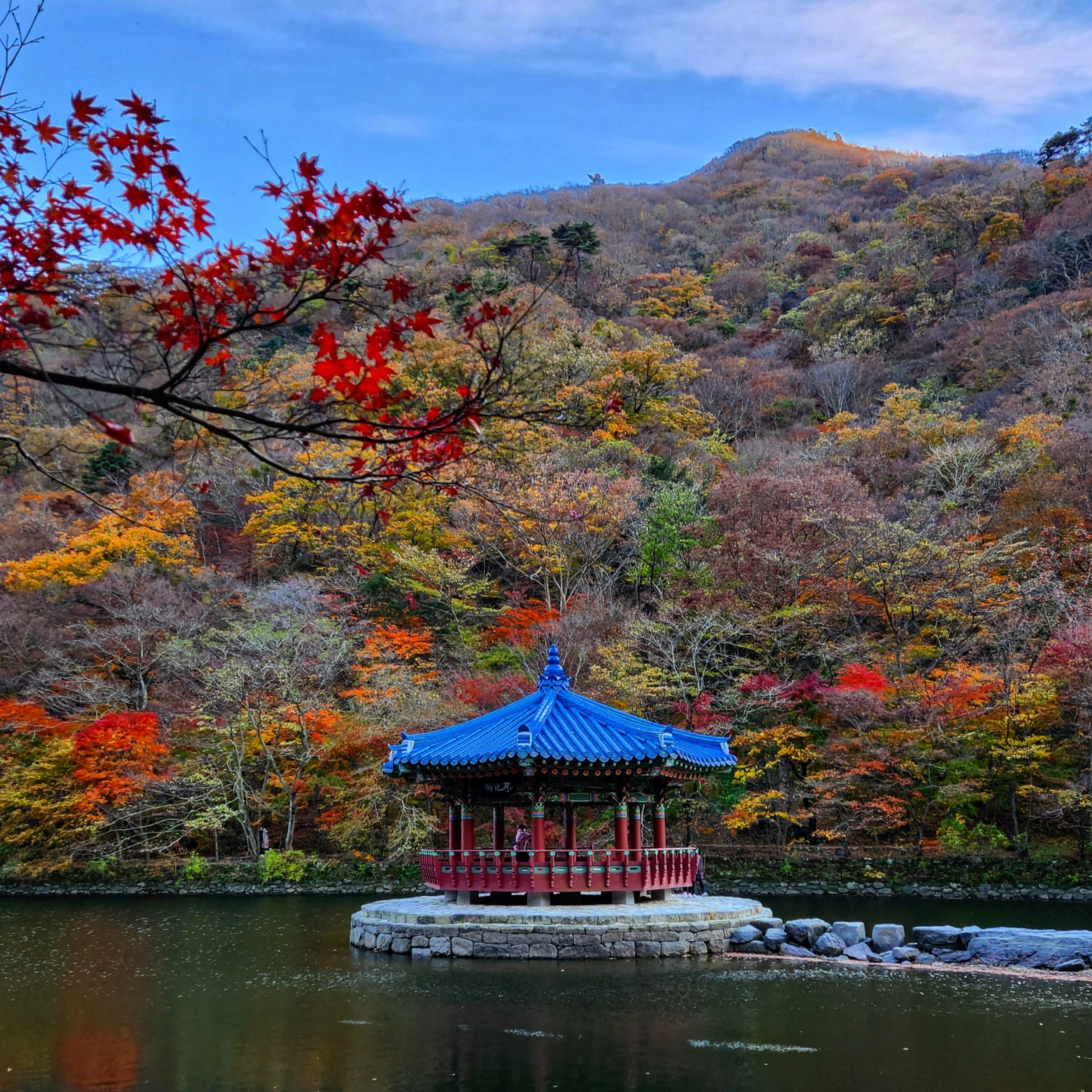 사진출처: 국립공원공단(내장산)