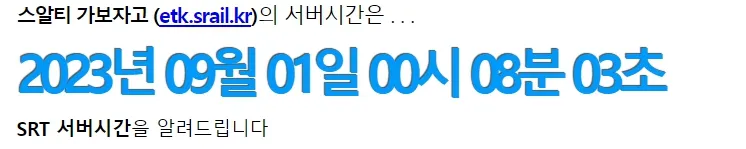 네이비즘 서버타이머