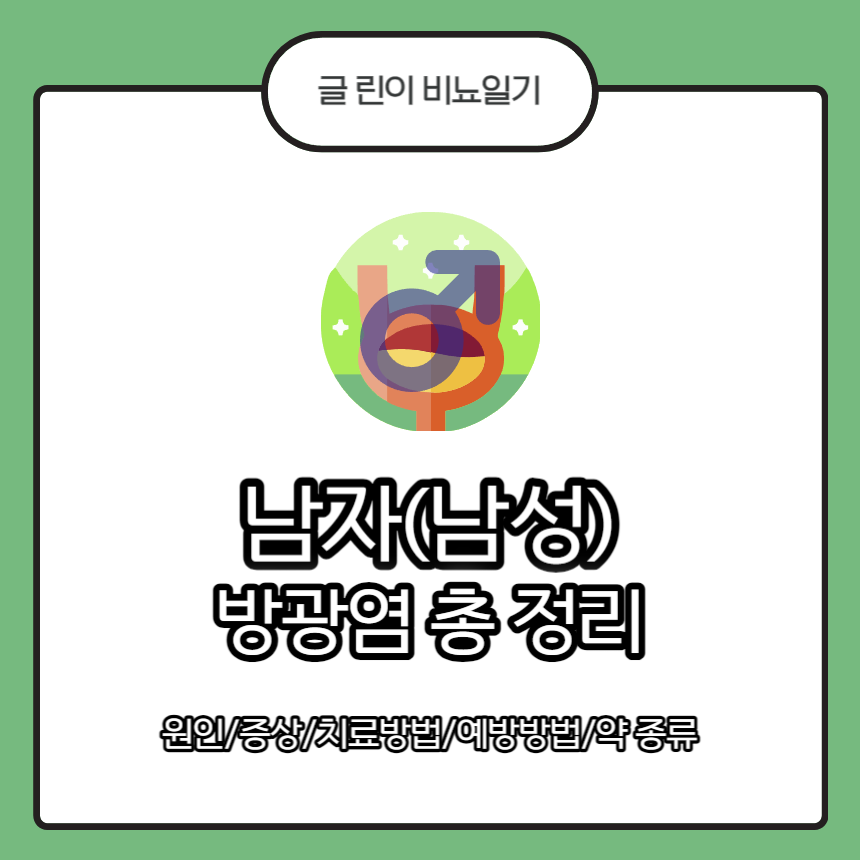  남자(남성) 방광염 총 정리 : 원인/증상/치료방법/예방방법/약 종류