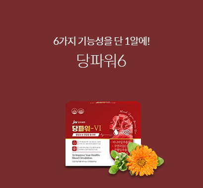 당파워6