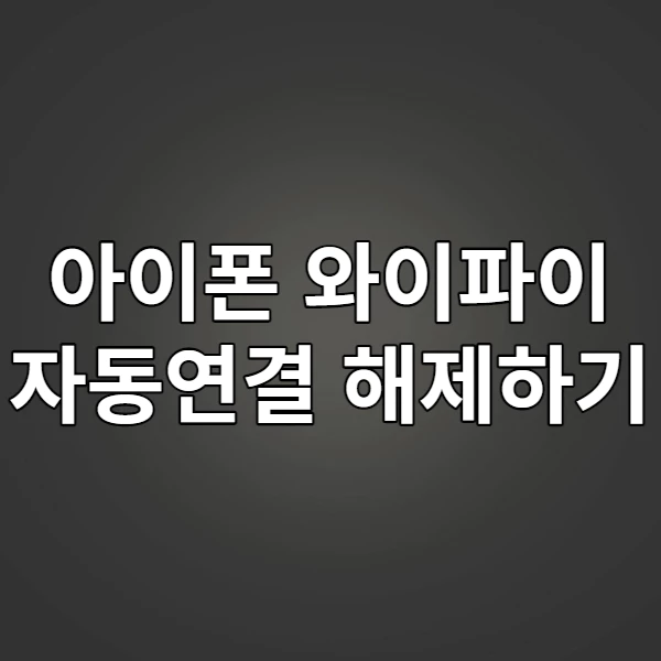 아이폰 와이파이 자동연결 해제하기