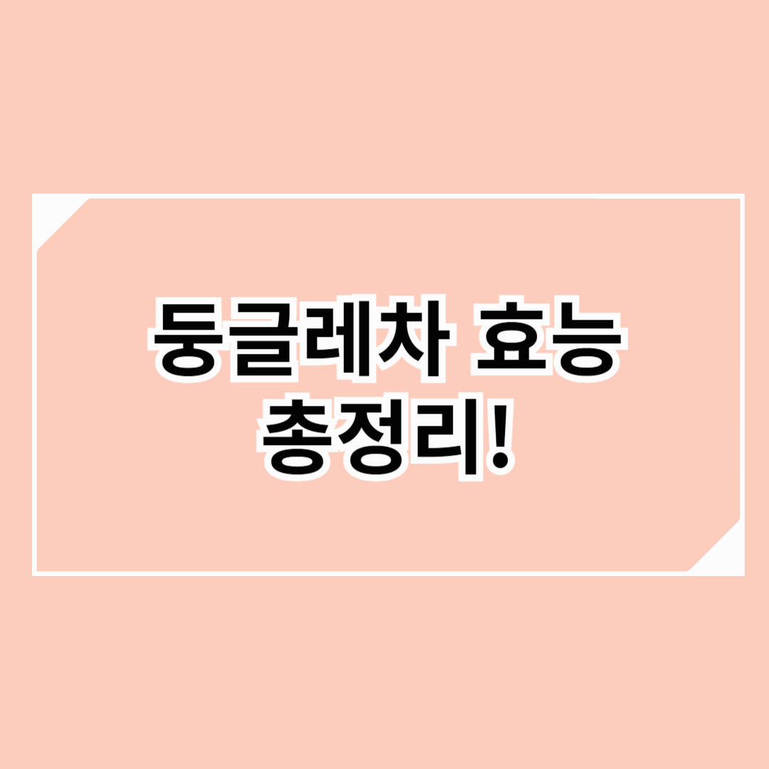 둥글레차 효능 총정리! 카페인? 물 대신 가능? 임산부도 마셔도 될까?
