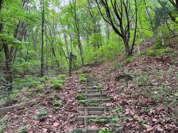 원주목계단이있는등산로입구