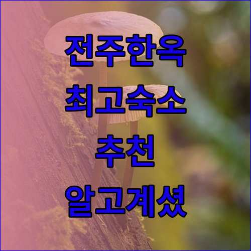 전주 한옥마을 근처 최고의 숙소 추천