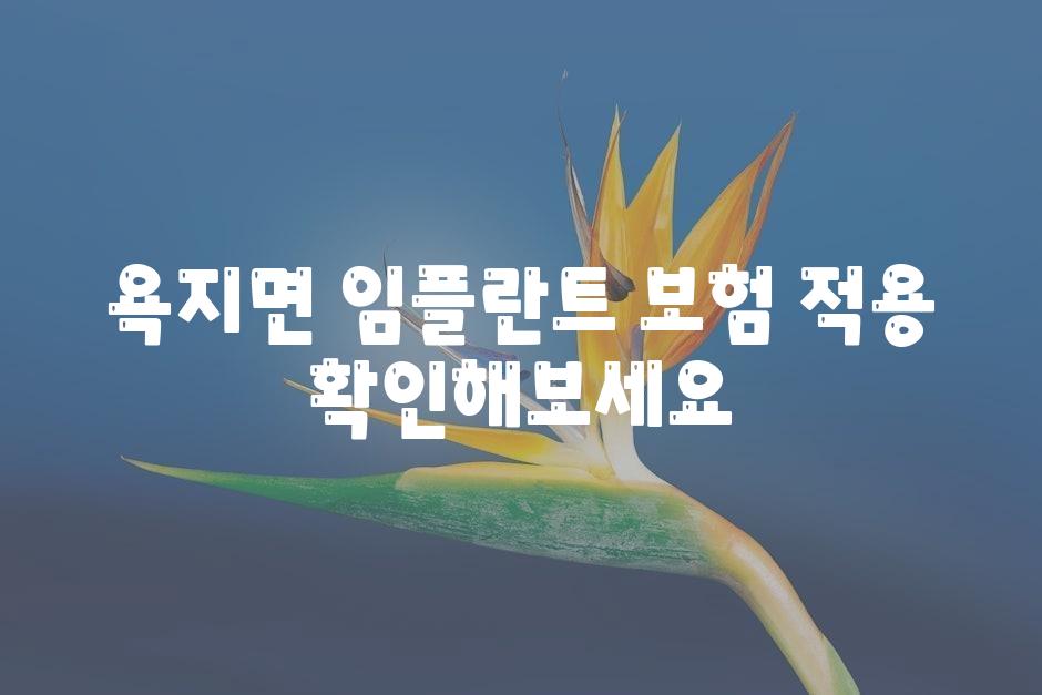 욕지면 임플란트 보험 적용 알아보세요