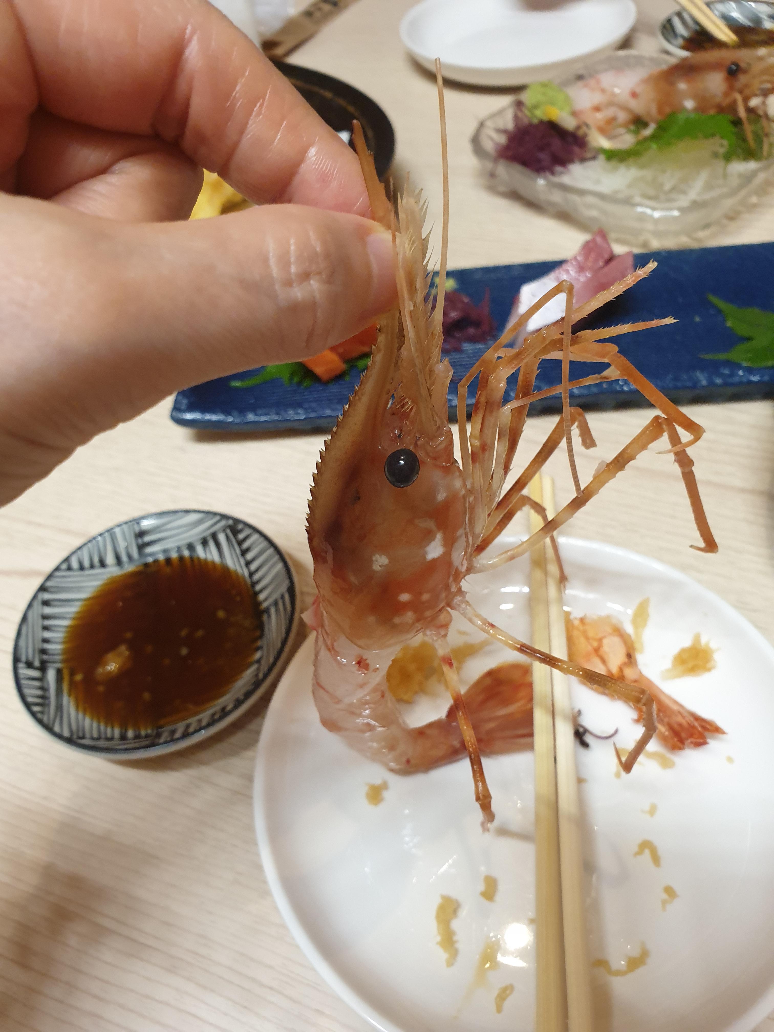 하코다테에서 먹은 독도새우