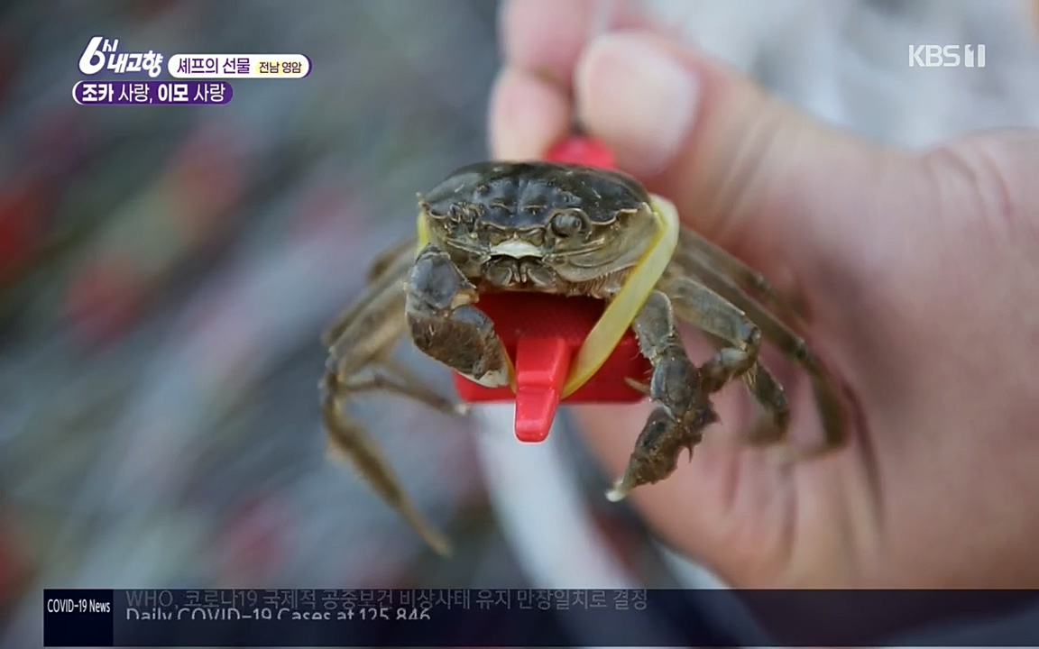 6시 내고향.E7512.220416p.H264-F1RST.mp4_20220502_193657.521.jpg