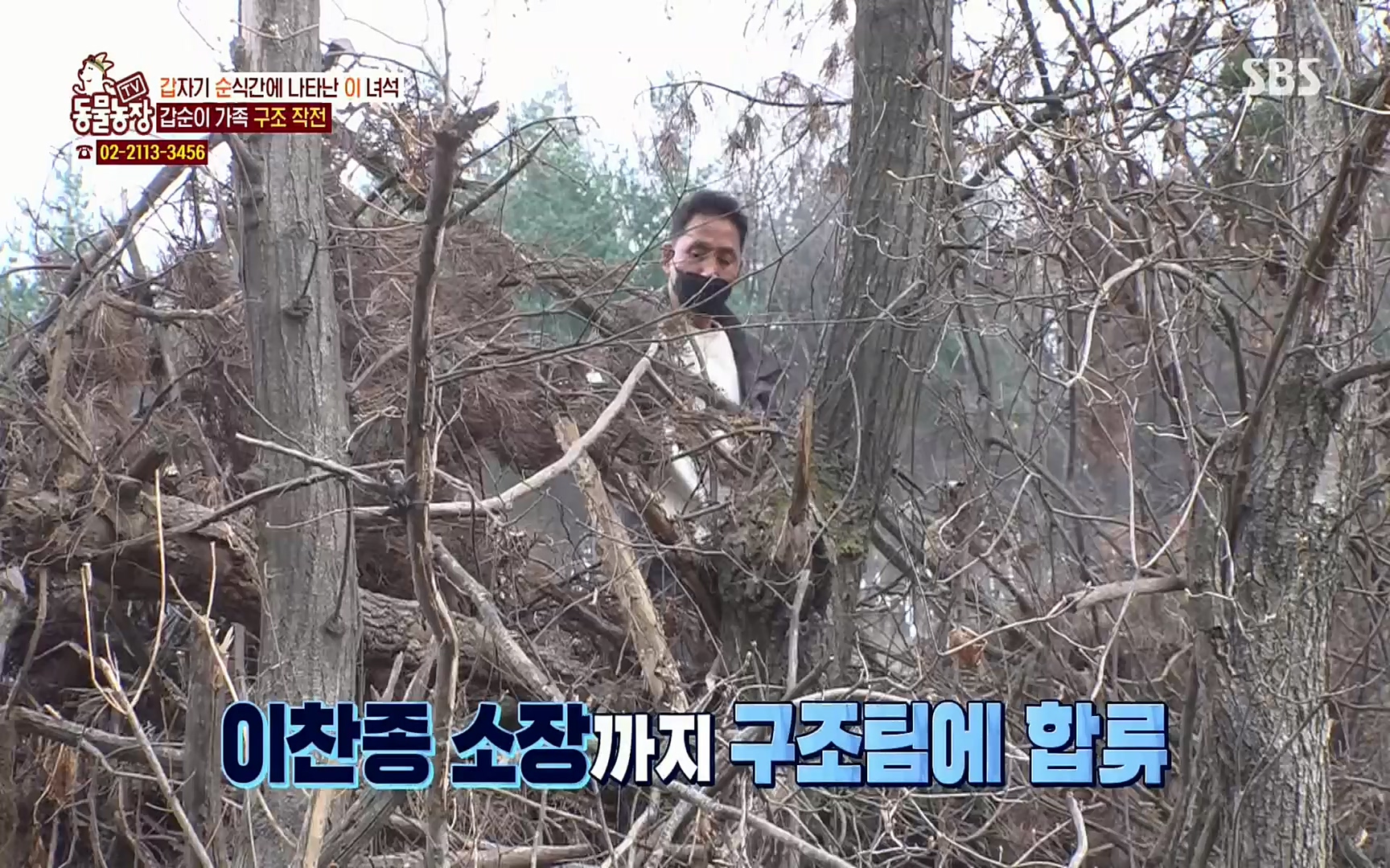 TV 동물농장.E1064.220410p.H264-F1RST.mp4_20220410_185002.868.jpg