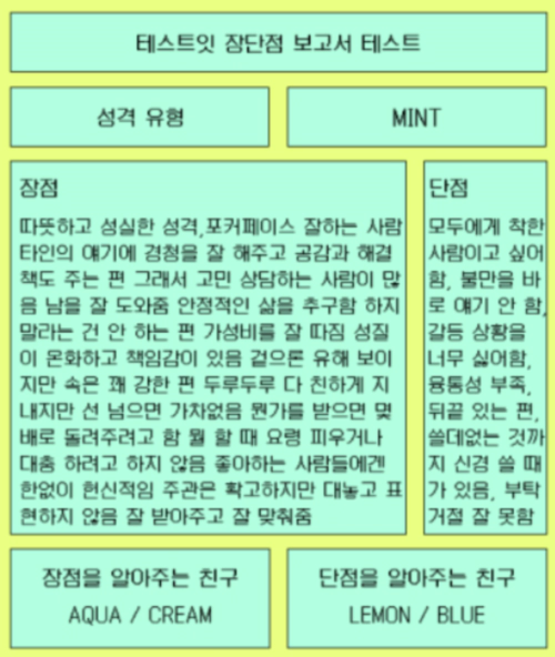 테스트잇 장단점 보고서 테스트