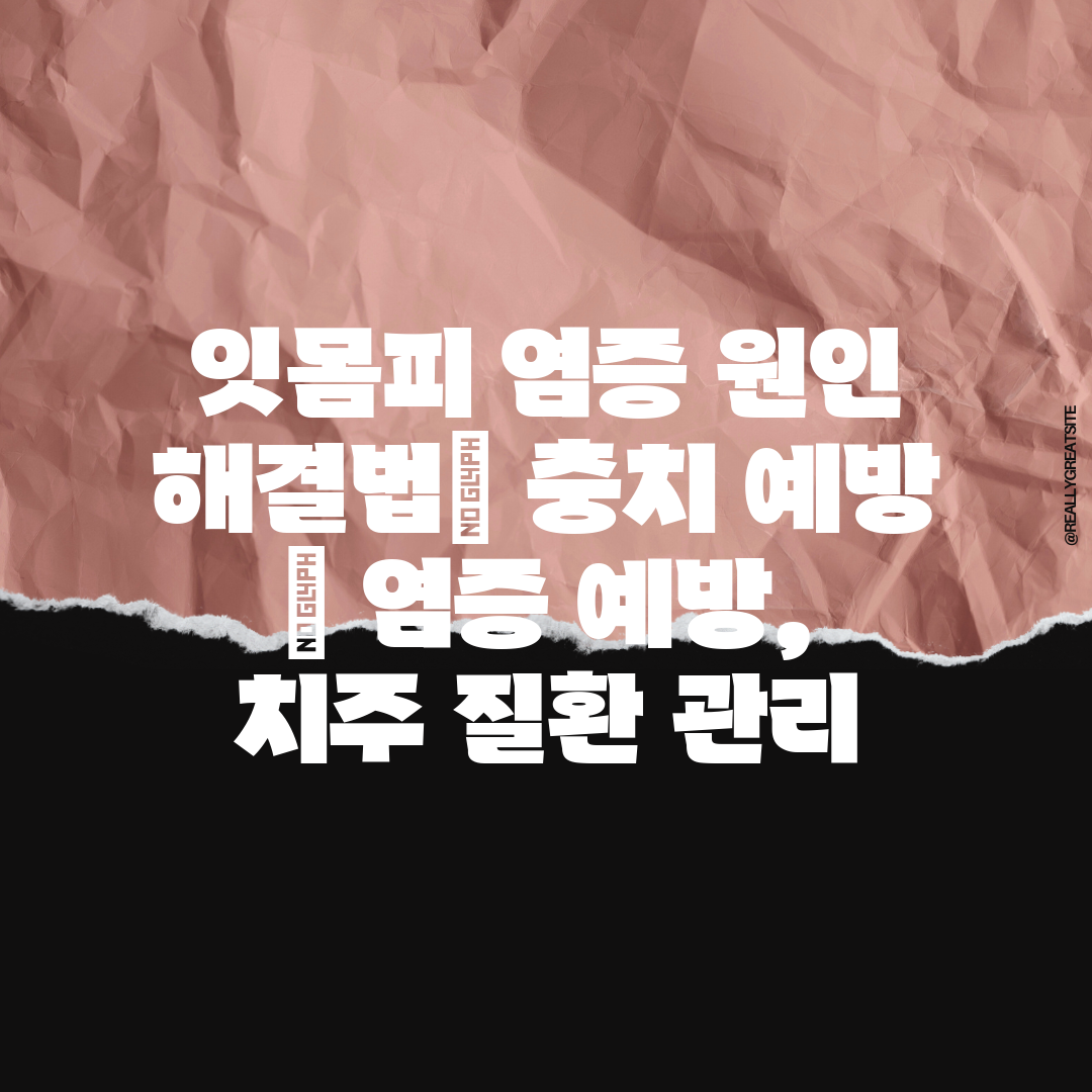 잇몸피 염증 원인 해결법 충치 예방  염증 예방, 치주