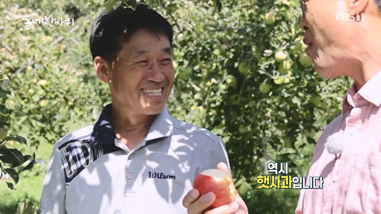 동네 한 바퀴.E242.230931p-NEXT.mp4_20231002_161455.129.jpg