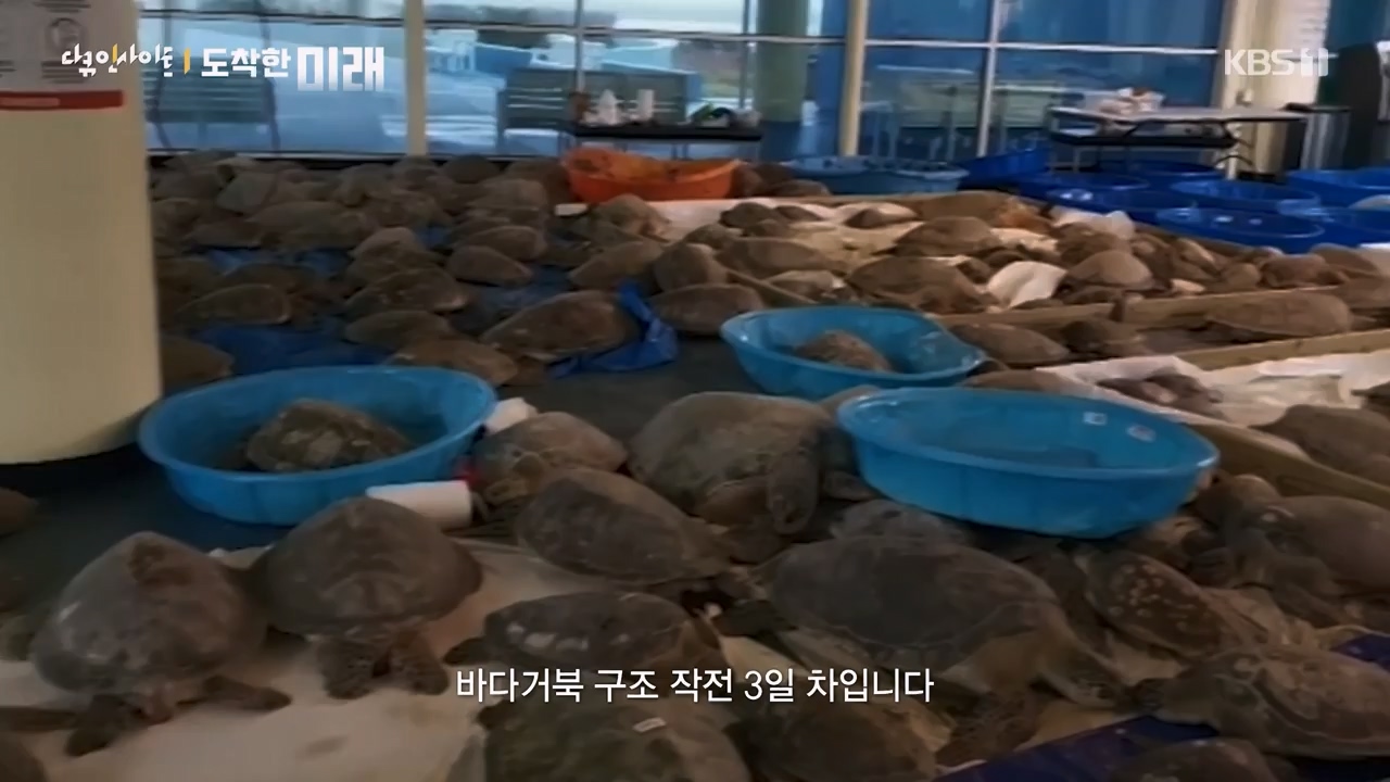 다큐 인사이트.E185.240419p-NEXT.mp4_20240420_161116.906.jpg