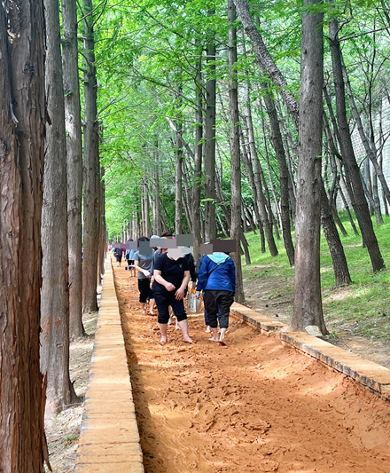 서호 이미지