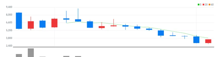 플라즈맵 월봉
