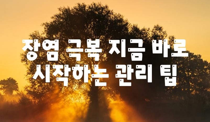 장염 극복 지금 바로 시작하는 관리 팁