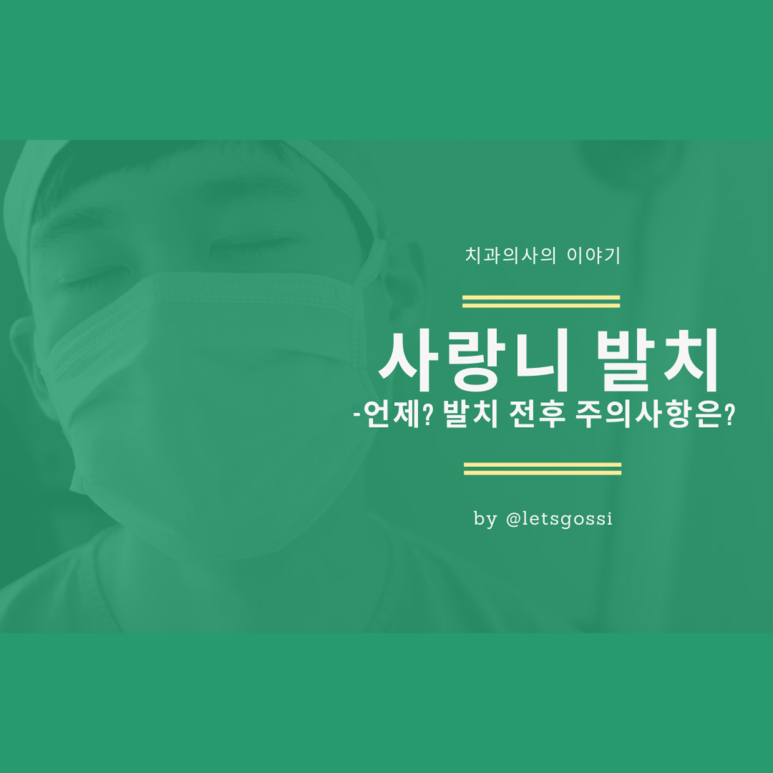  사랑니 발치 이야기 2탄