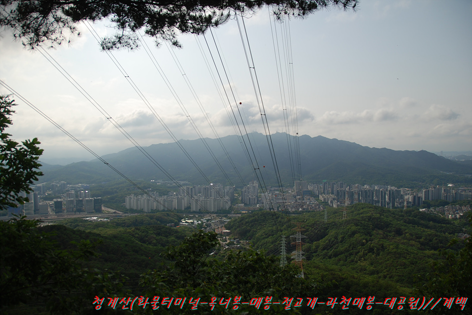 청계산식물원 이미지