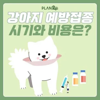 강아지 예방접종 유형과 적합한 기간_18