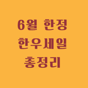 6월 한우세일