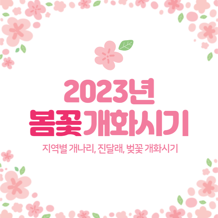 2023_전국_봄꽃개화시기