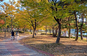 해운대 APEC 나루공원에서 반려견과 산책하는 모습