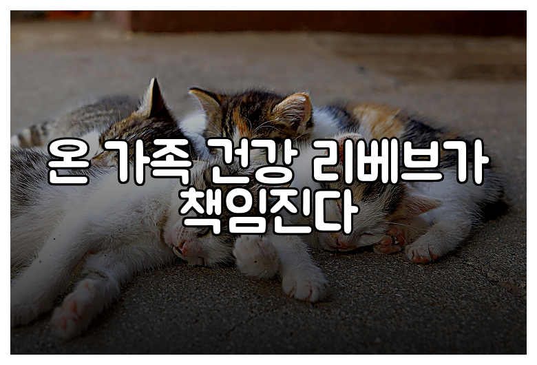 온 가족 건강 리베브가 책임진다