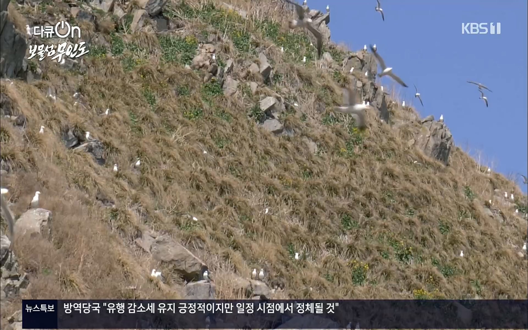 다큐 On.E141p.H264-F1RST.mp4_20220530_202711.823.jpg