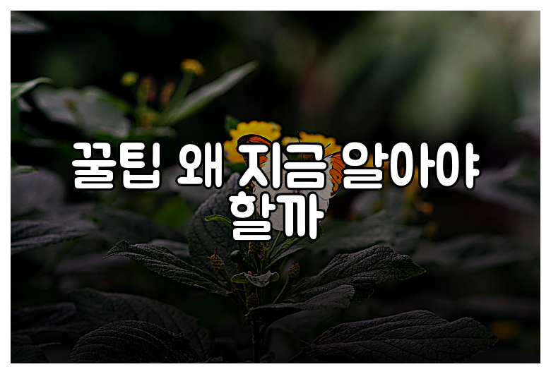꿀팁 왜 지금 알아야 할까