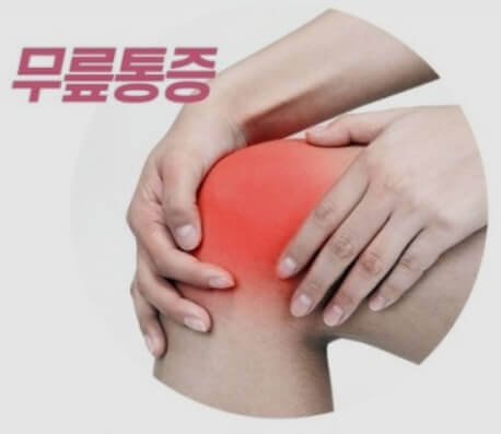  무릎 뒤쪽 통증, 무릎 시림, 염증, 관절염 등 무릎 통증 질환의 모든 것