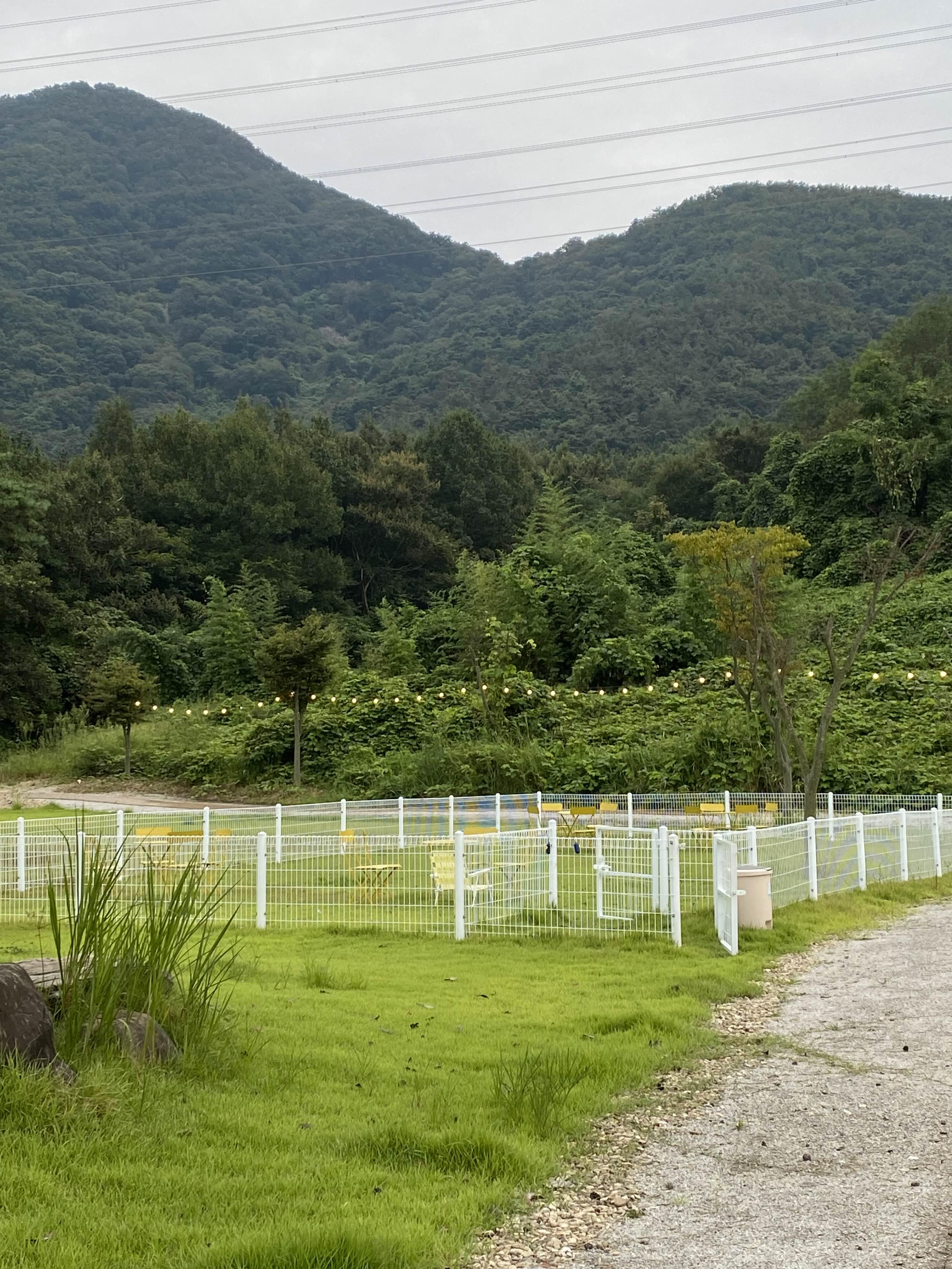 alt 태그