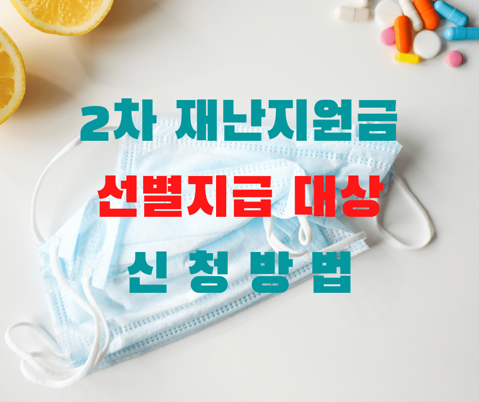  2차 재난지원금 신청 방법 (청년, 선별지급, 초등학생, 저소득층)